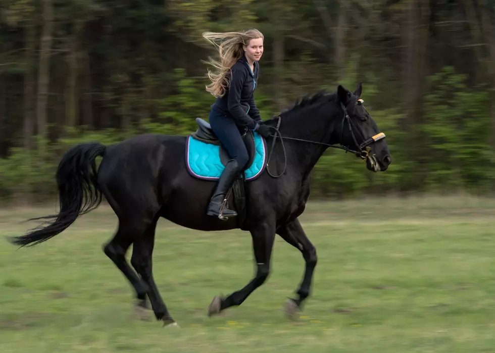 Sensational Trails for Horseback Riding in Michigan