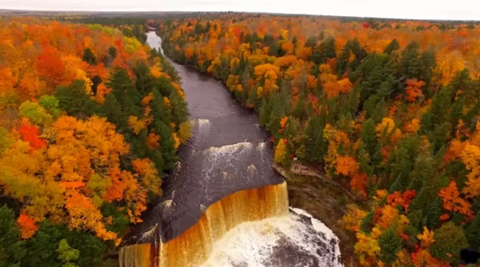 How a Massive Forest Fire Created Paradise, Michigan