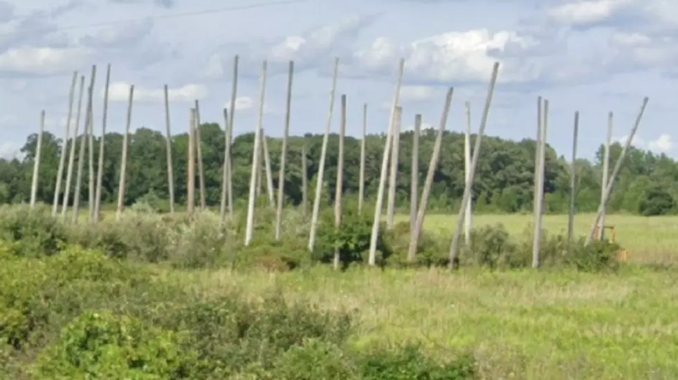 Remember &#8220;Polehenge&#8221; North of St. Johns? It Has Been Torn Down Since 2020