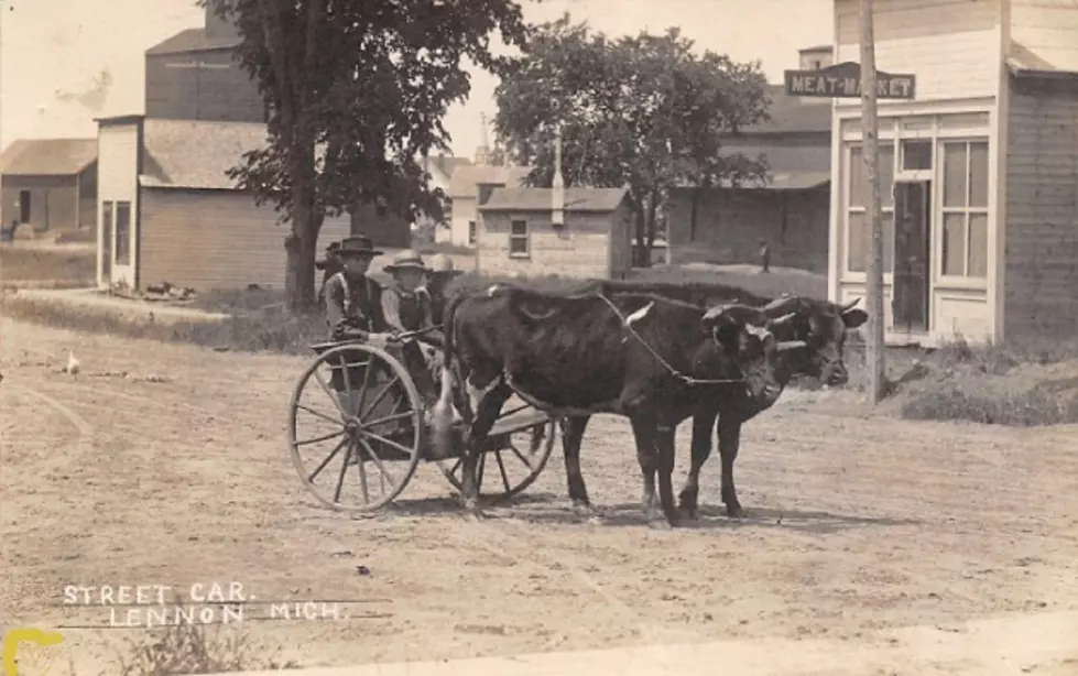 The Overlooked Small Town of Lennon, Michigan, 1880