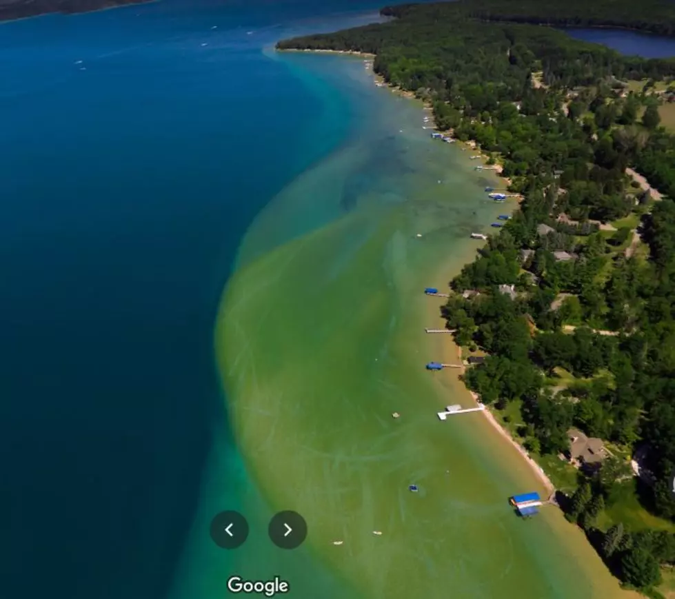 Torch Lake Becoming  Oozy & Mucky