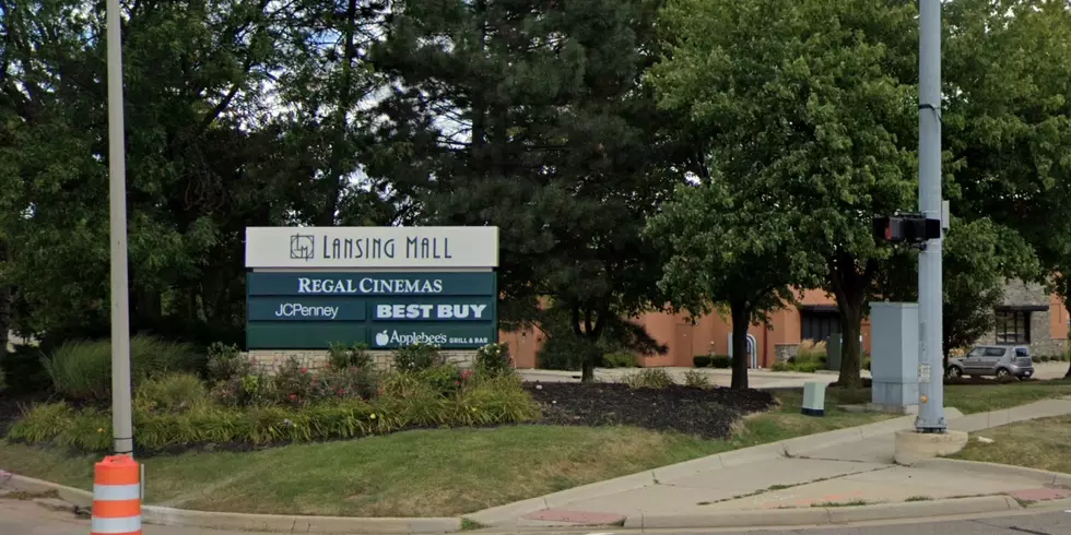 Lansing Mall on W. Saginaw Highway Listed For Sale