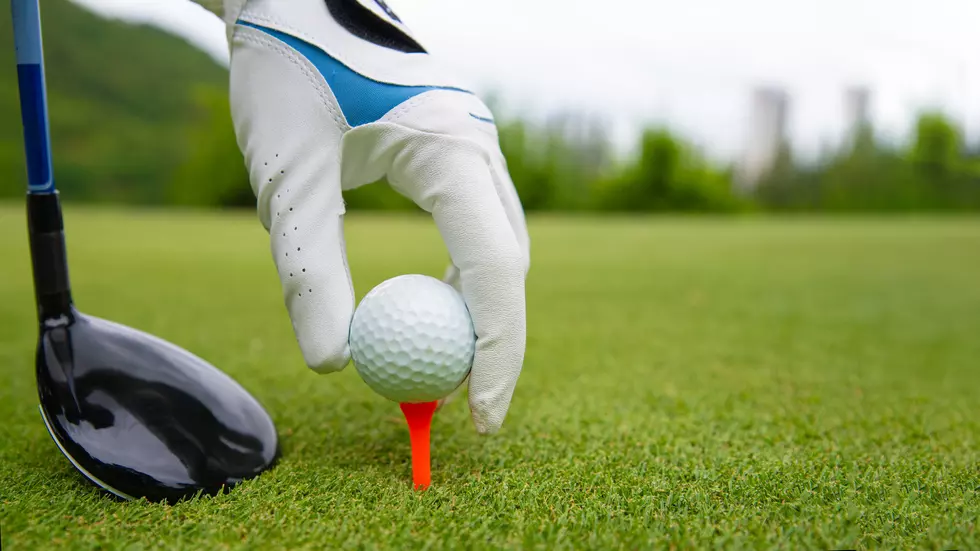 Top 10 Michigan Public Golf Courses You Can Play this Summer