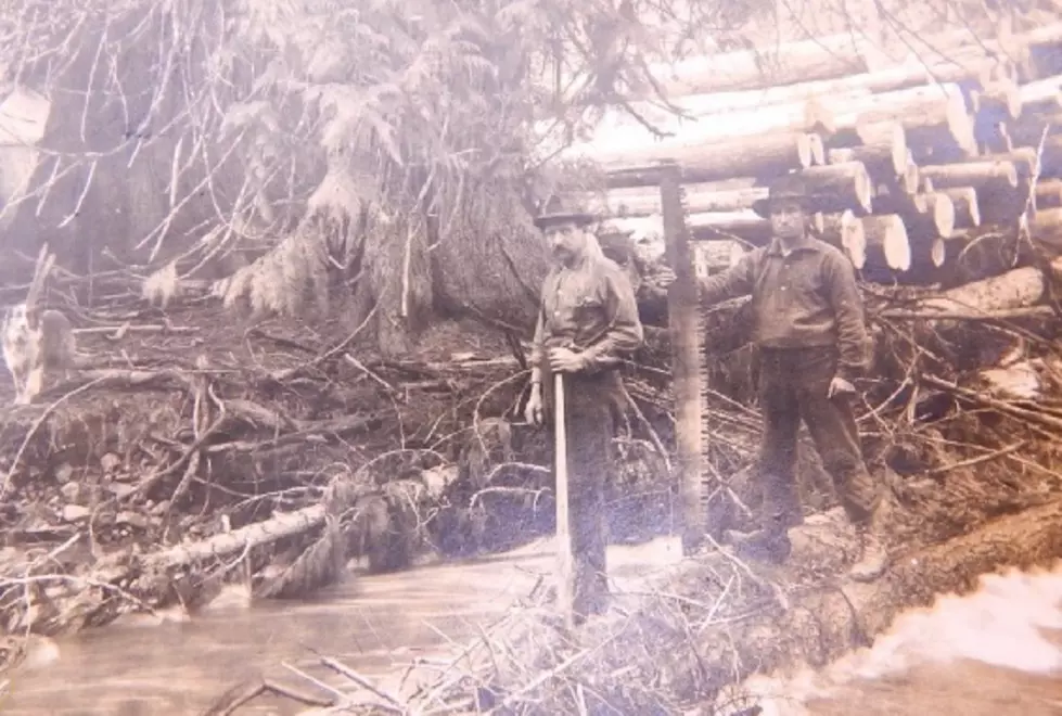 PHOTO GALLERY: Michigan Lumber Camps, 1870s-1930s