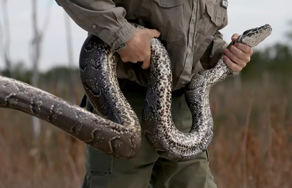 Animal Control&#8217;s Weird Calls Even In Michigan