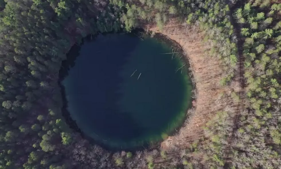 Eerie Beauty Lies at the Bottom of This Sinkhole in Otsego County, Michigan