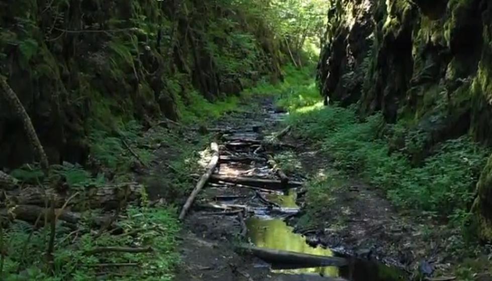 The 1890 Michigan Railroad That Was Abandoned and Never Used