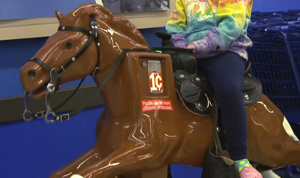 Sandy, the Meijer Pony – is She Finally Back?