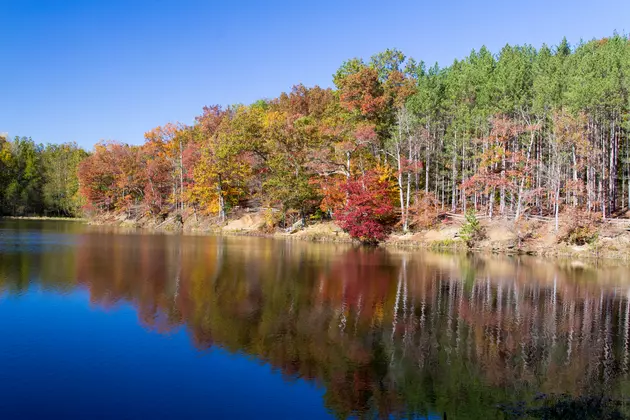 Michigan Has the Most Beautiful Spots for Fall Color