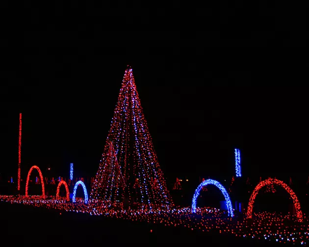 Where are the Best Michigan Light Displays 2021?