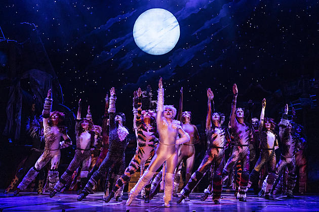 Your Chance to See Cats at Wharton Center — Enter to Win Tickets