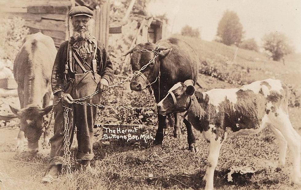 The Old Hermit of Suttons Bay, 1849-1931