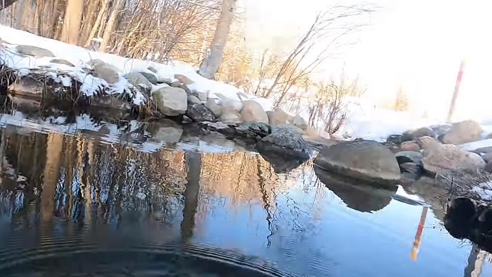 Inside the Water of the Ogemaw Spring