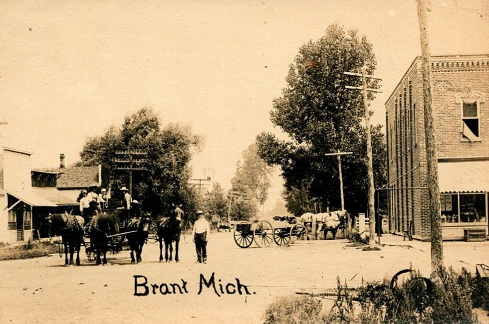 The Michigan Small Town of Brant, Est. 1858
