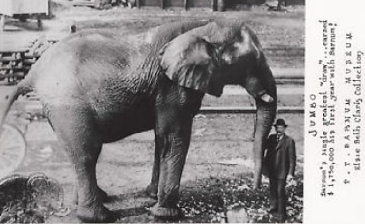 How Michigan's Jackson Wagon Co. Aided Jumbo the Elephant