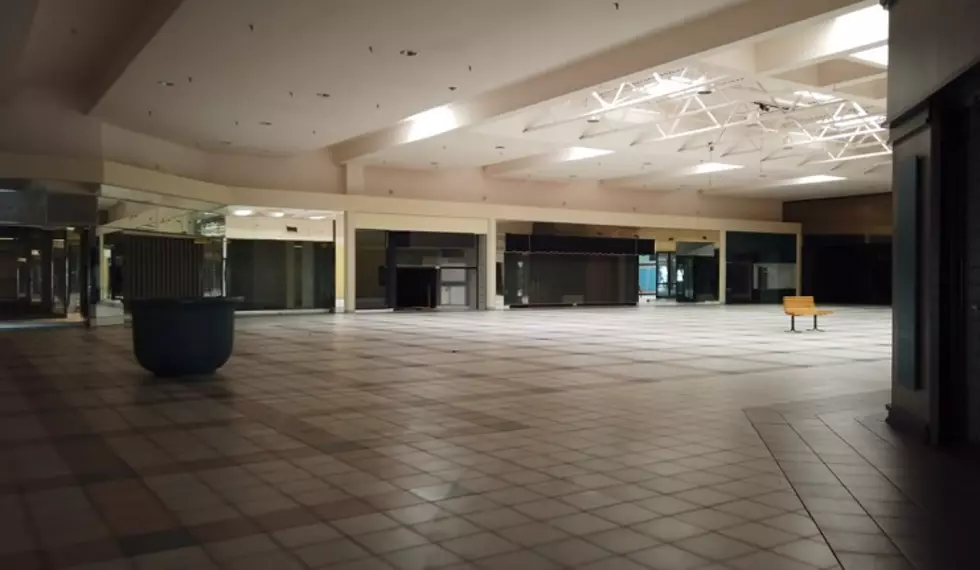 The &#8220;Dead&#8221; Orchards Mall, Benton Harbor, Michigan: Taken Over By Seagulls