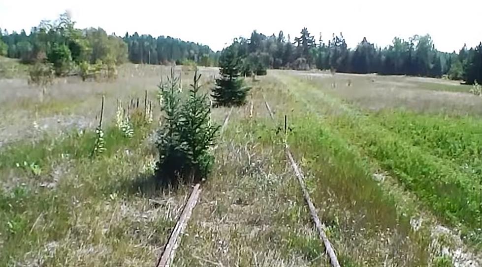 Out in the Michigan Wilderness: The Ghost Towns of Henderson and Ralph