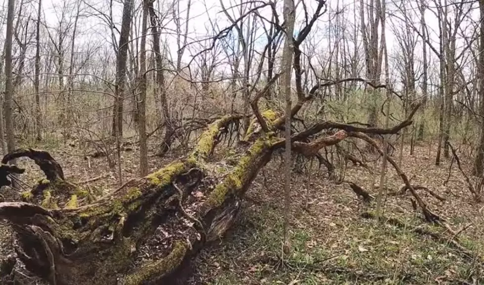 Going to the Bottom of the Devil’s Soup Bowl: Middleton, Michigan