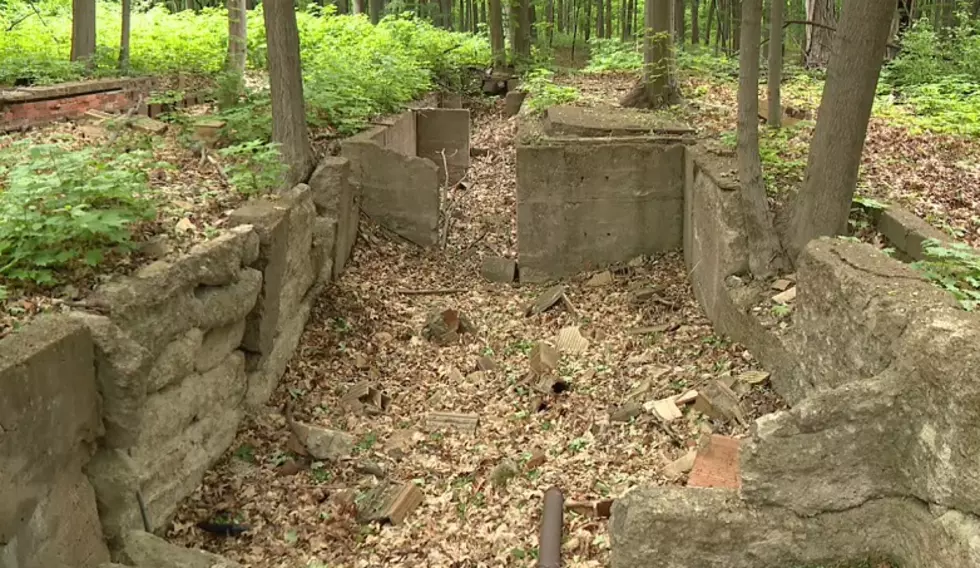 The Remains of Deserted Houses on Apple Island, Michigan