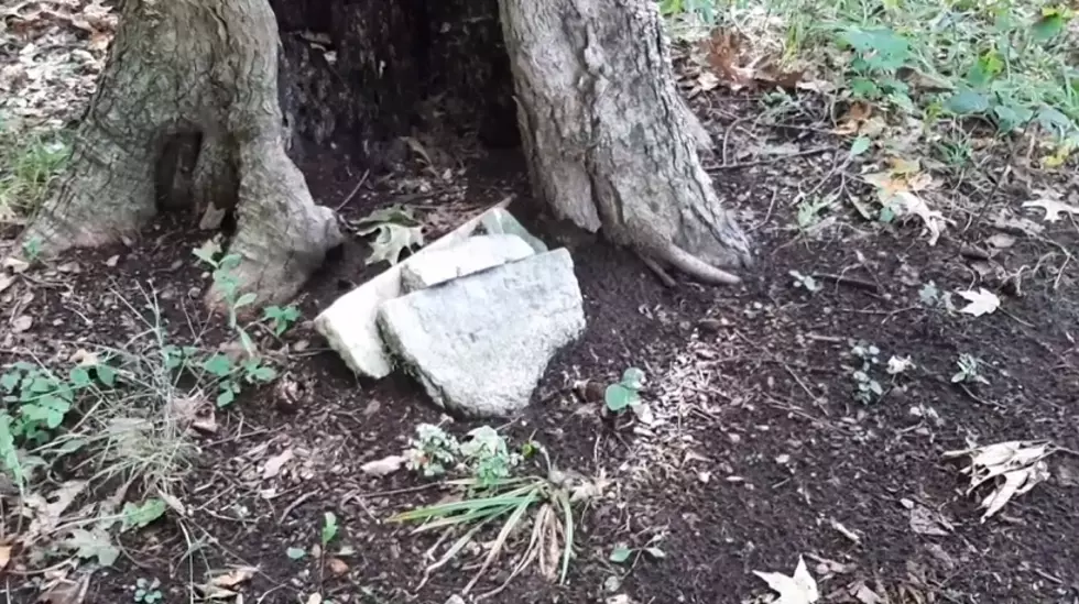 Abandoned with 33 Graves: The Cemetery Hidden Along the Road in Salem, Michigan