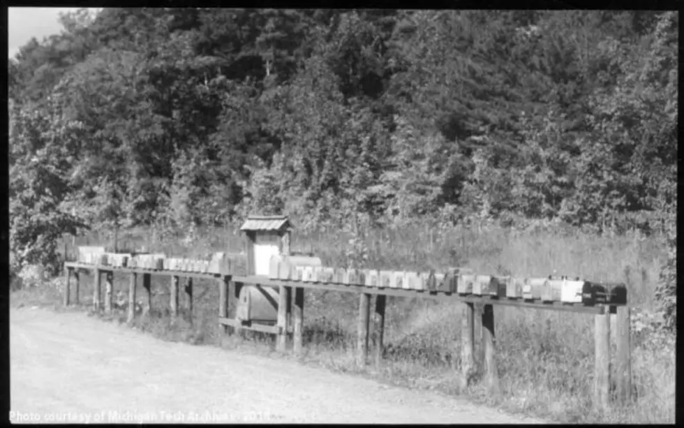 The Ghost Town and Lighthouse of Bete Grise, Michigan