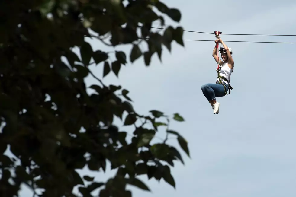 New $2M Zip Line and Ropes Course Over Michigan Zoo is Spectacular