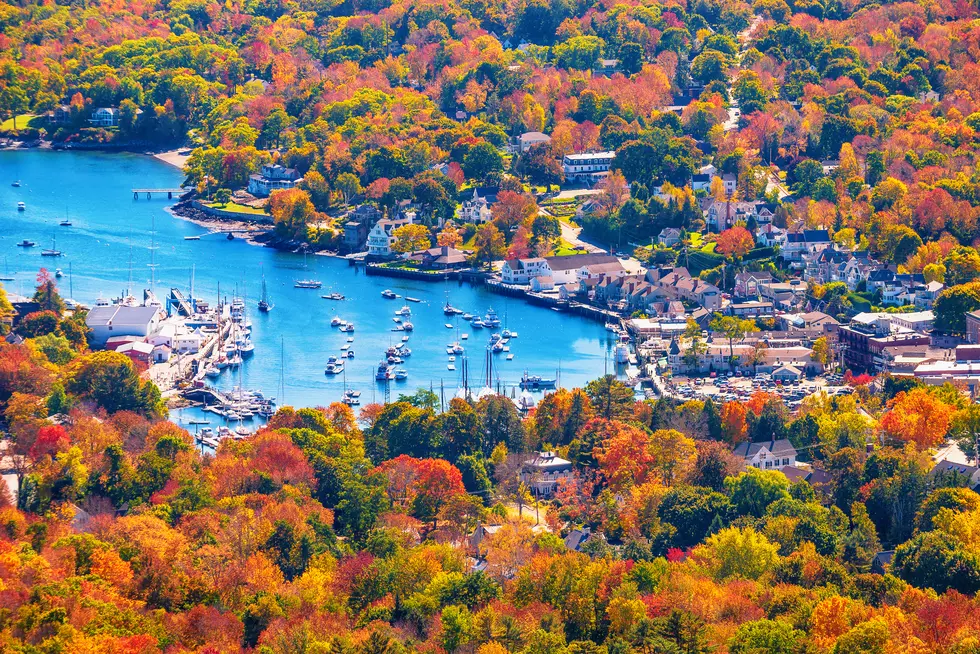 Best Places to See Amazing Michigan Fall Colors