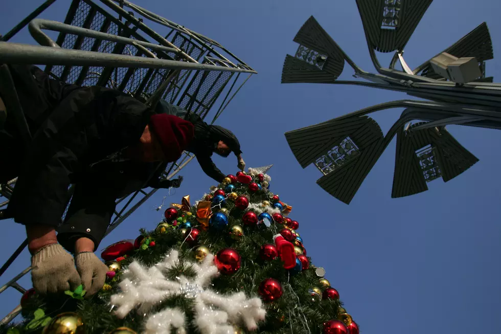 Bay City’s Christmas Tree is Highlight of Holiday Season