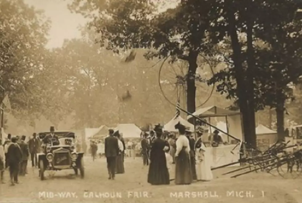 Michigan Fairgrounds: 1890s-1970s