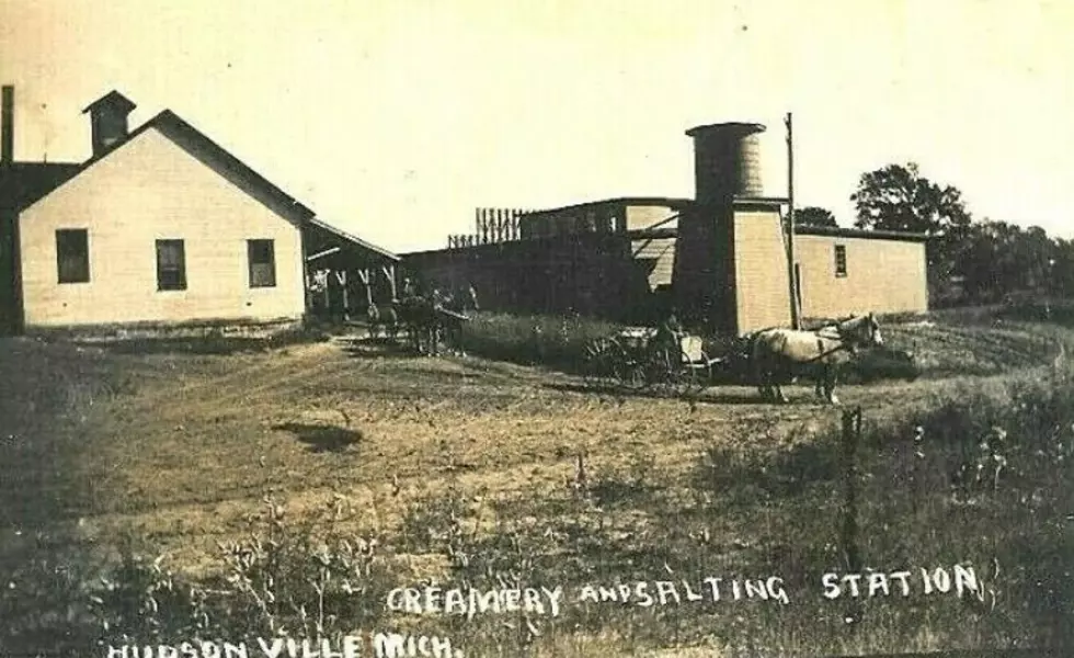 The Home of Hudsonville Ice Cream: Ottawa County, Michigan