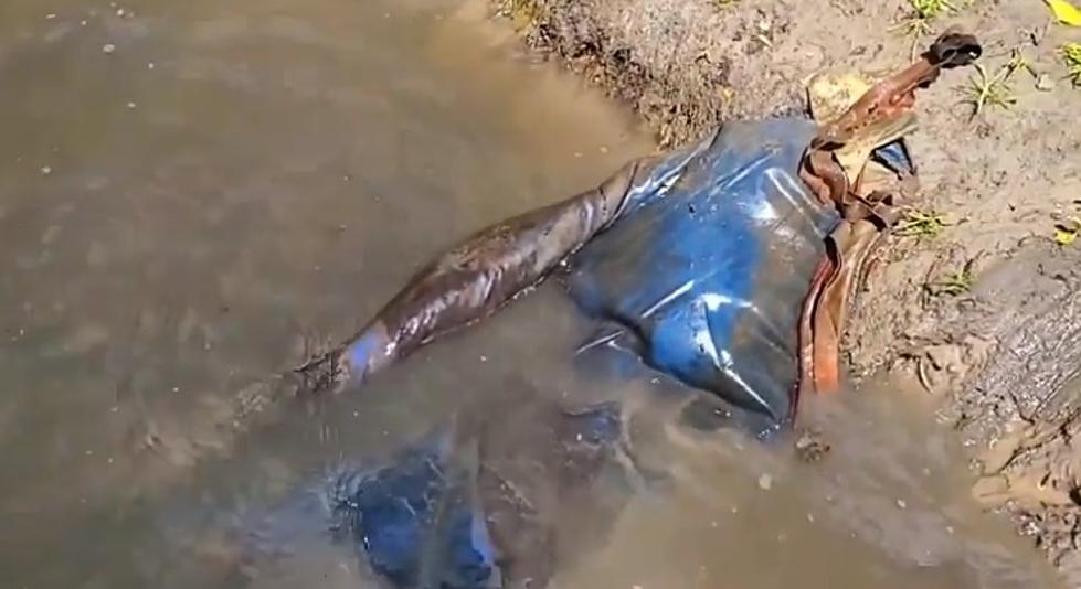 Mudlarking: Here’s What Was Pulled Outta the Grand River in Grand Rapids, Michigan