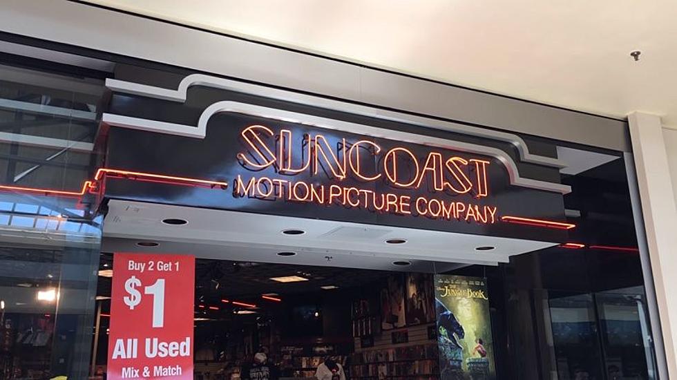 Michigan Malls Had Suncoast Video Shops; So Why Did They Disappear?