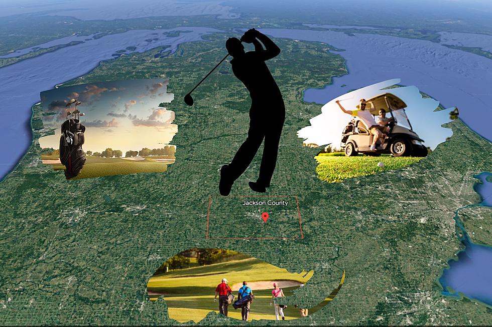 Can You Identify These Jackson, Michigan Golf Courses From Google Earth?