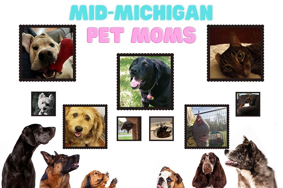 Awww: Furry Friends Thank Michigan Mom’s