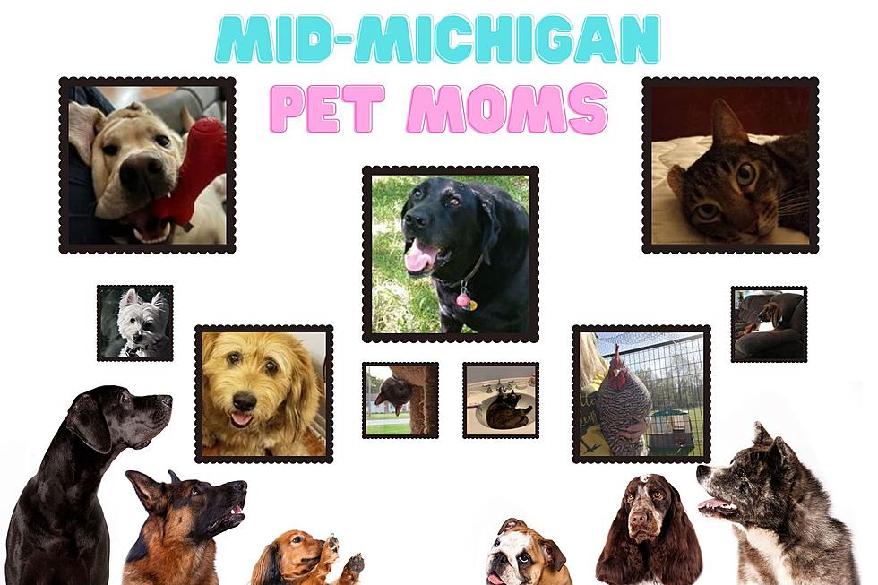 Awww: Furry Friends Thank Michigan Mom&#8217;s