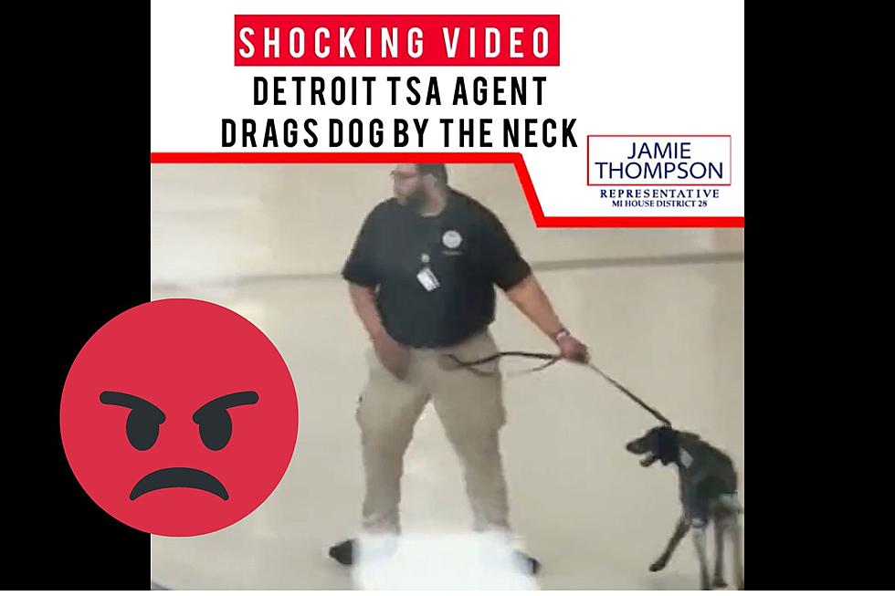 Shocking Video: Michigan TSA Agent Yanking Dog