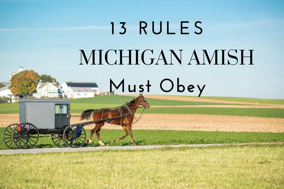 13 Rules Michigan Amish Must Obey