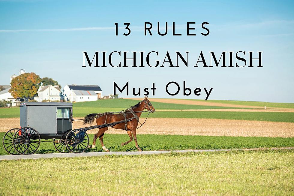 13 Rules Michigan Amish Must Follow