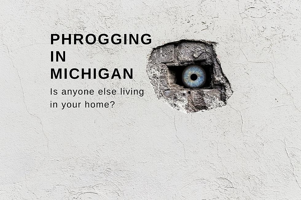 Michigan: What is Phrogging and Why You Need to Know