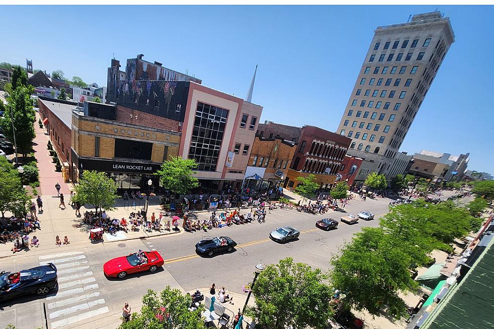 Look! Over 200 Pictures: 2023 Rose Parade in Jackson, Michigan