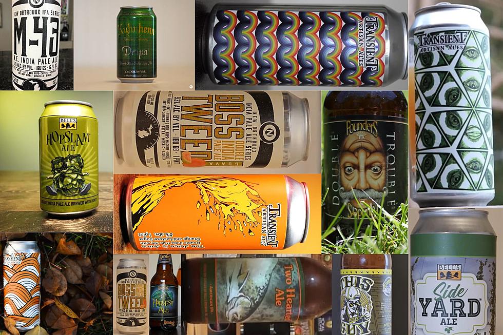 HOPPY: Discover The Top 21 Michigan Made IPA Craft Beers