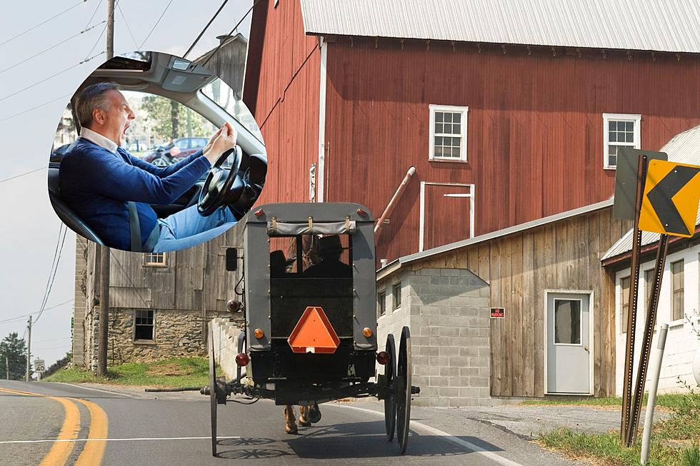 Can You Pass a Horse and Carriage on a Double Yellow Line in Michigan?