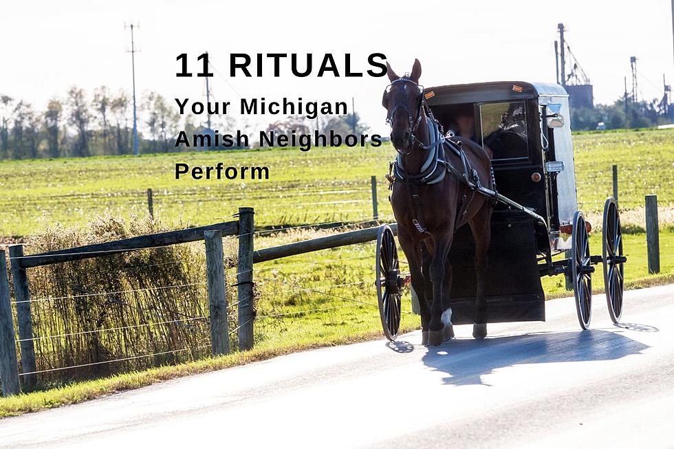 Your Michigan Amish Neighbors May Practice These 11 Rituals