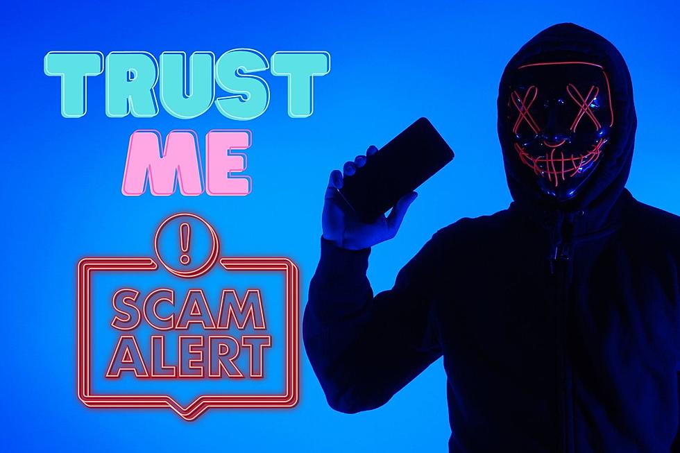 Is Michigan Gullible? Ranking States with Most Online Scams 2022