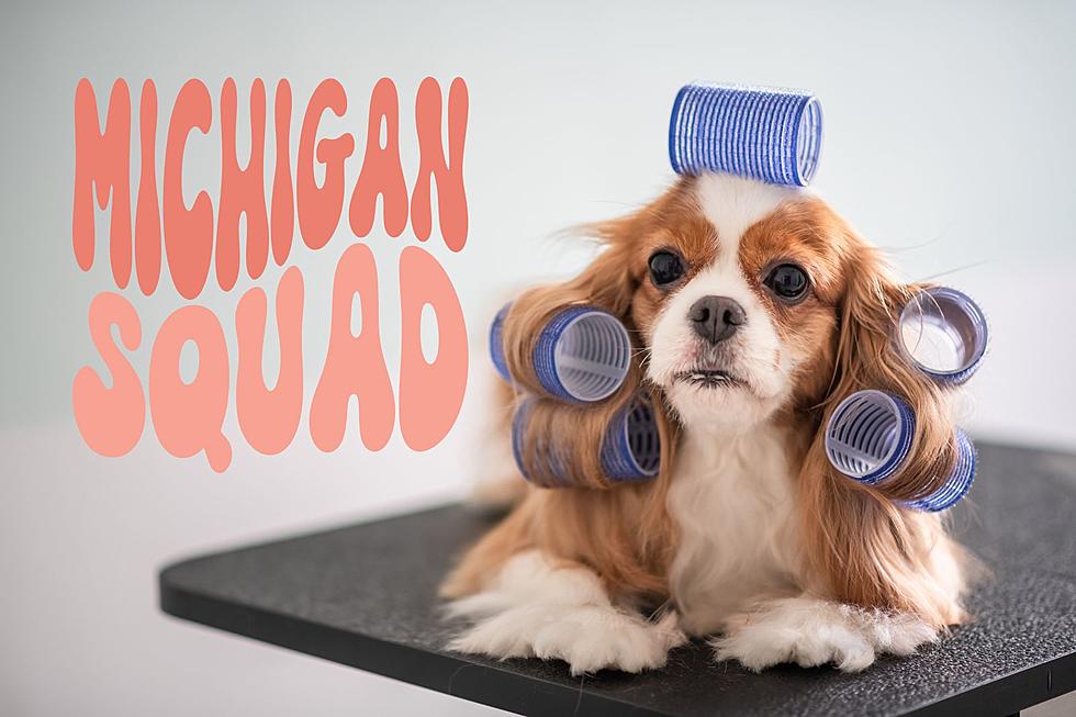 This Michigan City is Ranked Among the Top 100 for Pets in the US