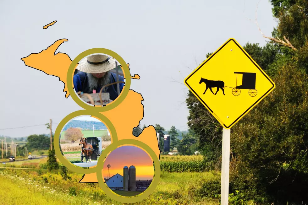 5 Dos and 5 Don’ts For Exploring Michigan Amish Country
