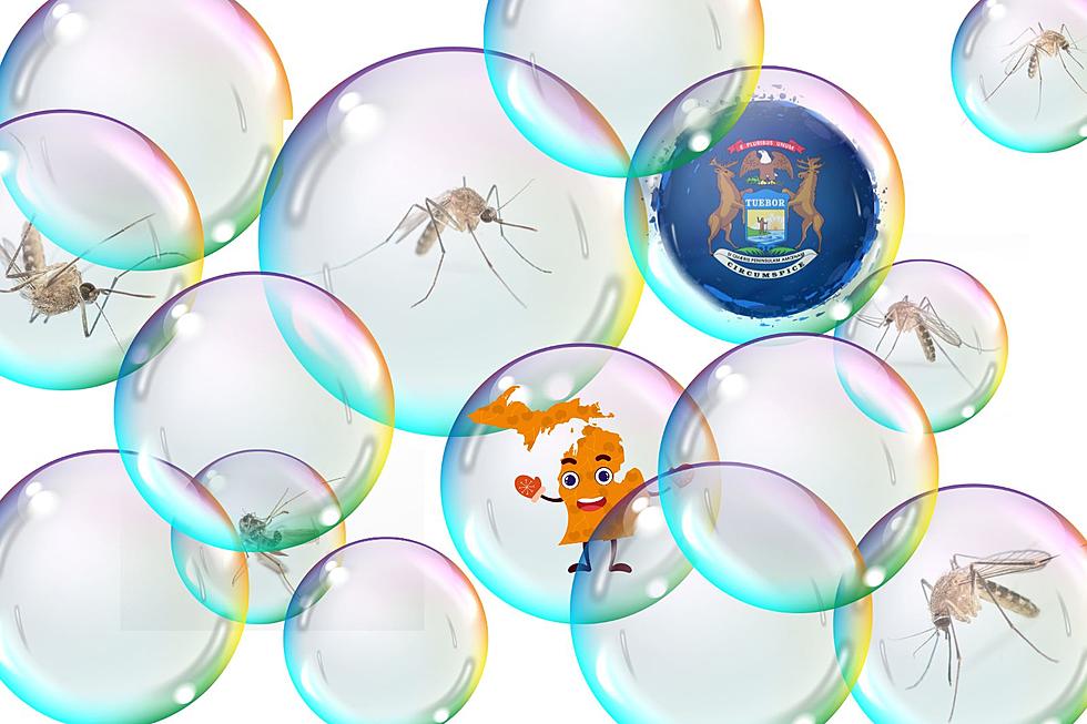 BUZZworthy MichTok: Can a Bubble Blower Repel Michigan Mosquitoes