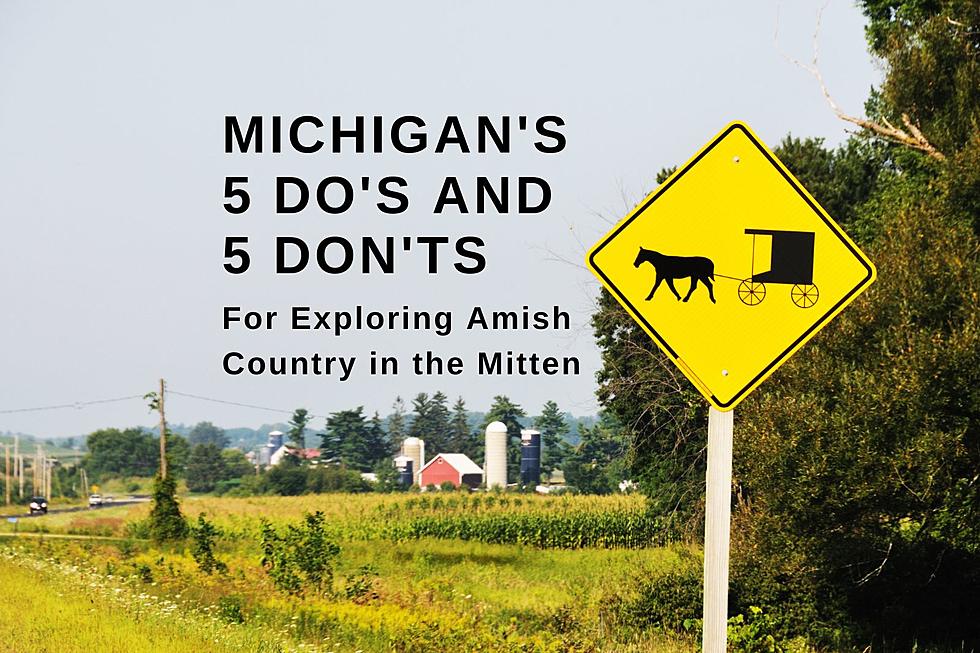 5 Do’s and 5 Don’ts When You're Exploring Michigan Amish Country