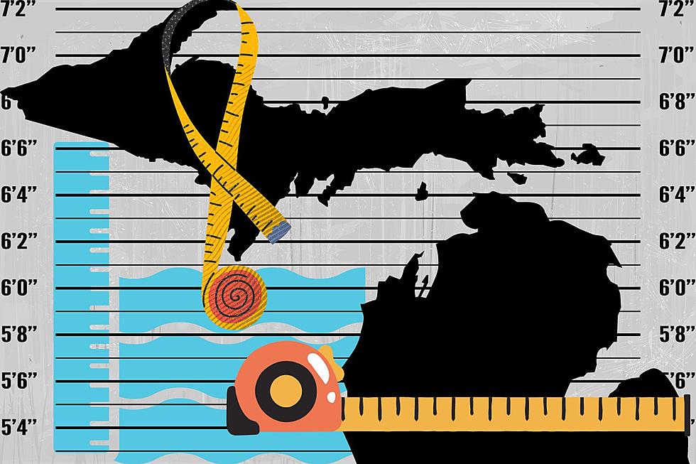 Measuring Michigan: 11 Random Geographic Facts About the Mitten