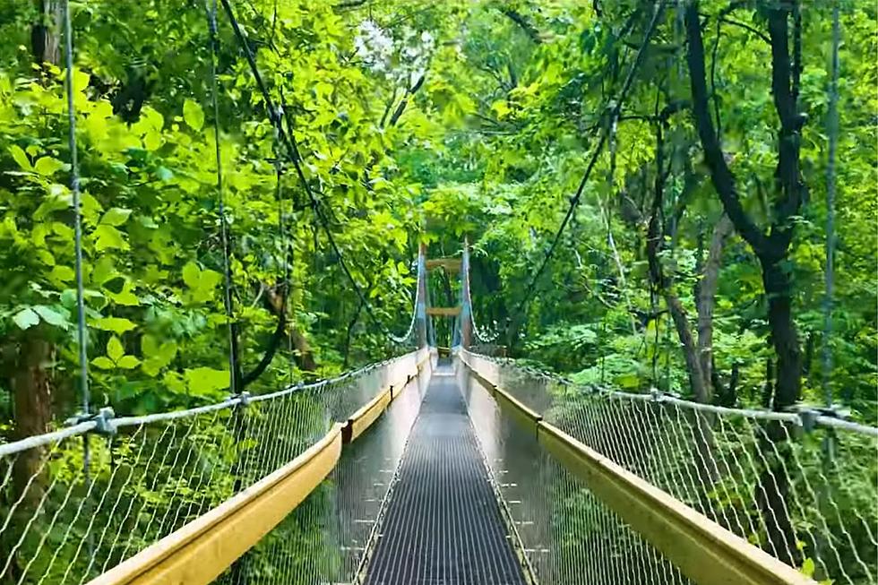 Soak in Michigan’s Fall Colors With Tipton’s Sky Canopy Walk